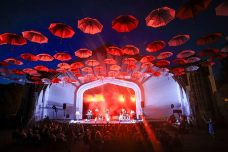 24504X1171 – kopija